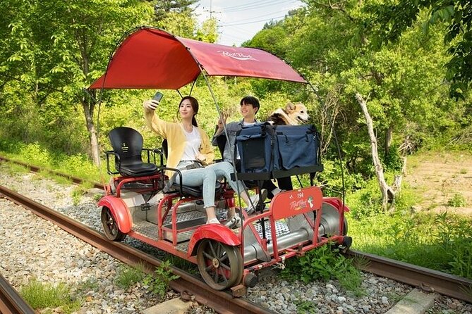 Nami Island & Petite France & Italian Village & Gangchon Rail Bike One-Day Tour - Participant Experience