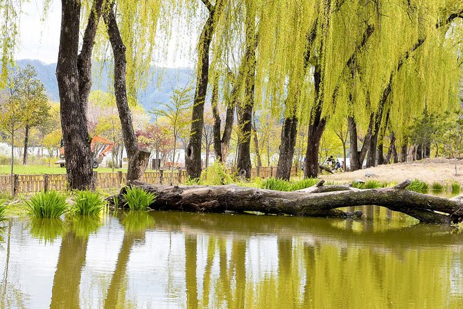 Nami Island & Petite France With Italian Village One-Day Tour - Meeting and Pickup