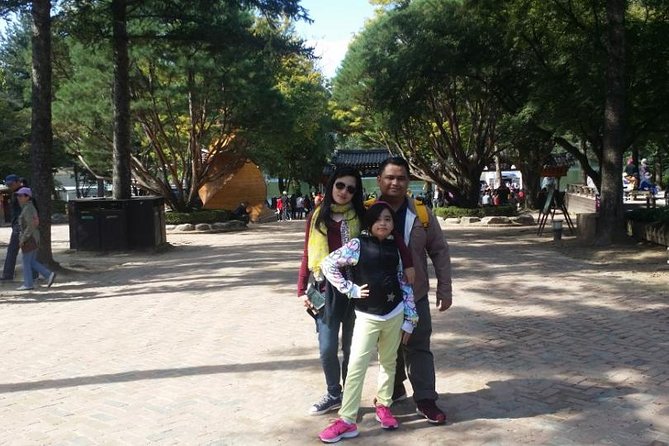 Nami Island Private Tour (6-12 People) - Transportation and Amenities