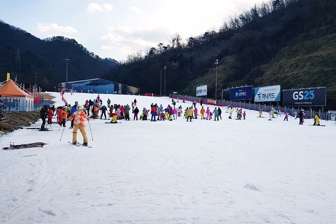 Nami Island + Ski Tour - Inclusions