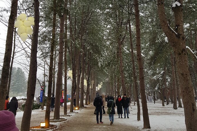 Nami Island + Ski Tour - Booking Information