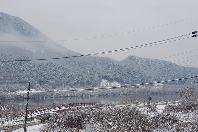 Nami Island + Ski Tour - Reviews