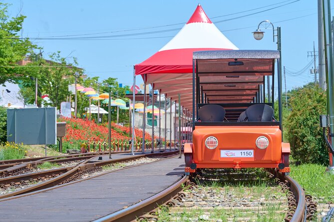 Nami Island Trip With Petite France & Italian Village and Gangchon Rail Bike - Nearby Attractions and Activities