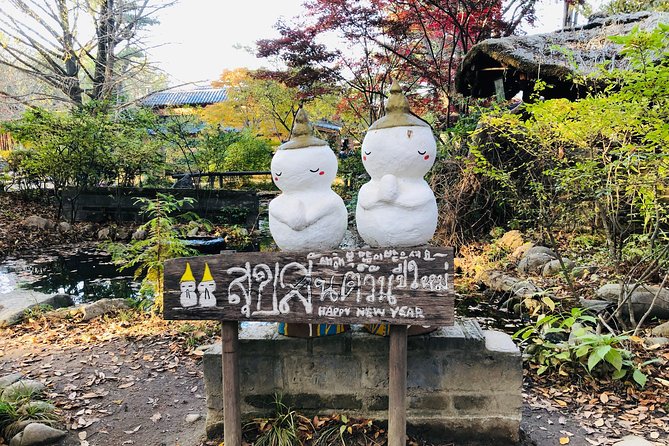 Nami Island+Alpaca+Gapyeong Rail Bike+Garden of Morning Calm - Inclusions and Highlights
