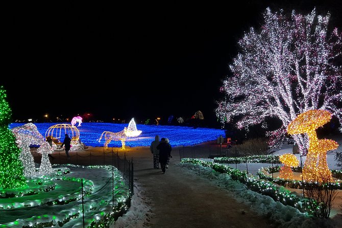 Nami Island+Alpaca+Gapyeong Rail Bike+Garden of Morning Calm - Garden of Morning Calm