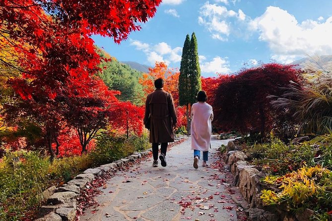 Nami Island+Alpaca+Gapyeong Rail Bike+Garden of Morning Calm - Tour Guide and Customer Reviews