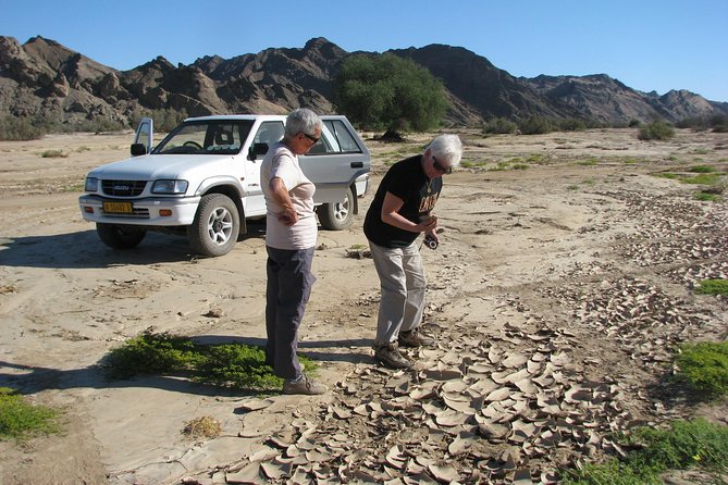 NAMIB DESERT Tours, Full-Day and Half-Day TOURS From Swakopmund, Namibia - Customer Reviews and Feedback