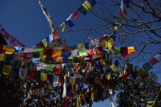 Namo Buddha and Thrangu Tashi Yangtse Monastery Half-Day Tour - Meeting and Departure Information