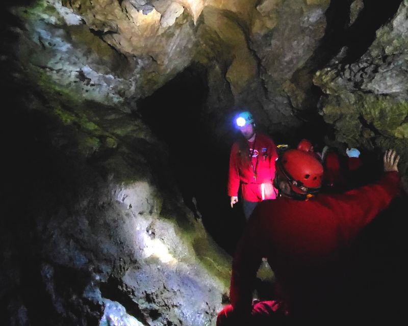 Nanaimo: Vancouver Island Waterfalls, Vistas, Hikes & Caves - Key Points