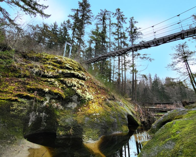 Nanaimo: Vancouver Island Waterfalls, Vistas, Hikes & Caves - Caving Experience Details
