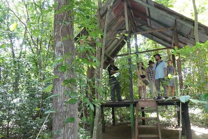 Nandana Tea Walking Tour in Sri Lanka - Operating Hours