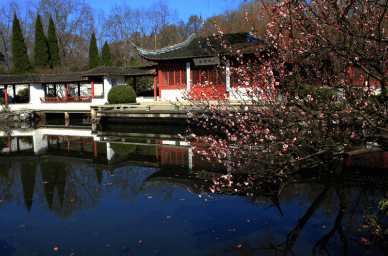 Nanjing Ancient City Tour With Entrance Fee Guide Lunch - Pickup and Drop-off