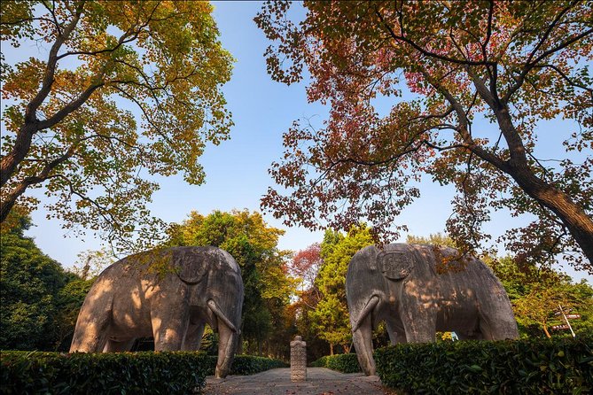 Nanjing Day Tour From Shanghai by Bullet Train - Tour Itinerary and Expectations