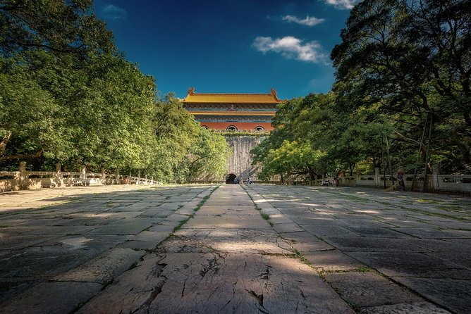 Nanjing Day Tour From Shanghai by Bullet Train - Reviews and Feedback