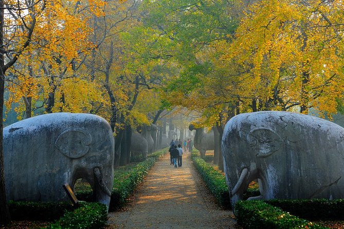 Nanjing Private English Tour Guide Service - Pricing and Duration