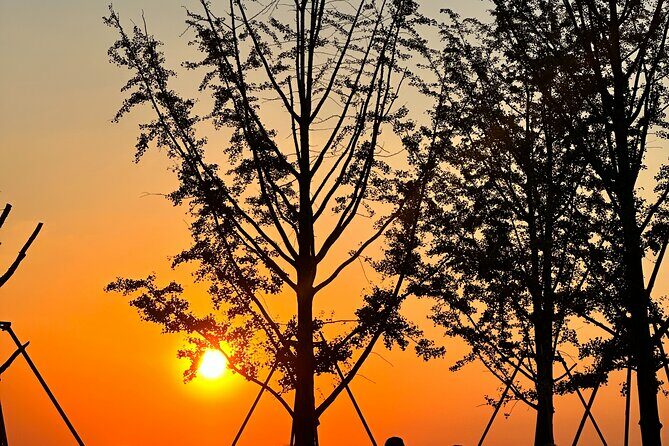 Nanjing Professional and Private Tour Guide Service - Exploring Nanjing with a Private Guide