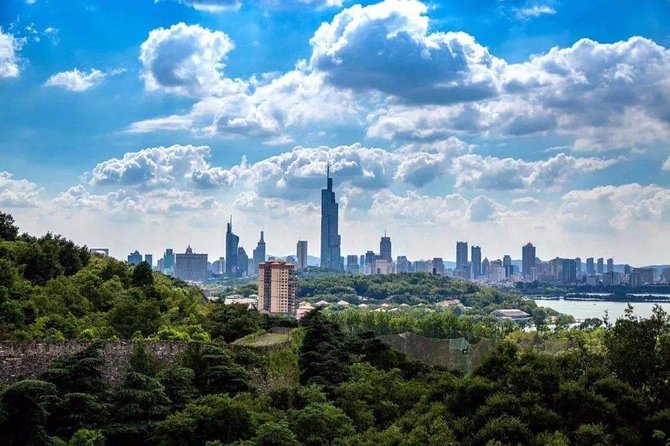 Nanjing Self-Guided Day Tour With Private Car and Driver Service - Service Details