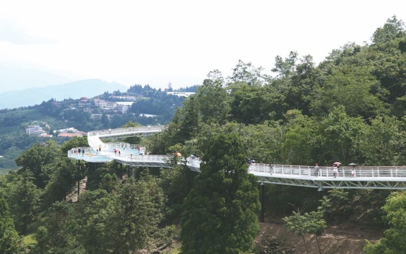 Nantou: Qingjing Skywalk Ticket - Skywalk Experience Overview