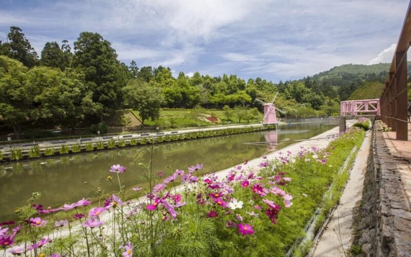 Nantou: Qingjing Small Swiss Garden Ticket & Combos - Key Points