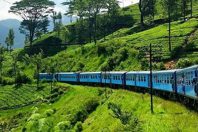 Nanu Oya to Ella Train Ride on (Train No: 1005 Podi Menike) - Key Points