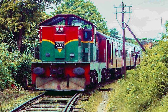 Nanu Oya to Kandy Train Ride on (Train No: 1016 Udarata Menike) - Meeting and Pickup Arrangements
