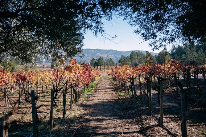 Napa and Sonoma Combo Wine Tour Including Castello Di Amorosa Winery - Included Amenities
