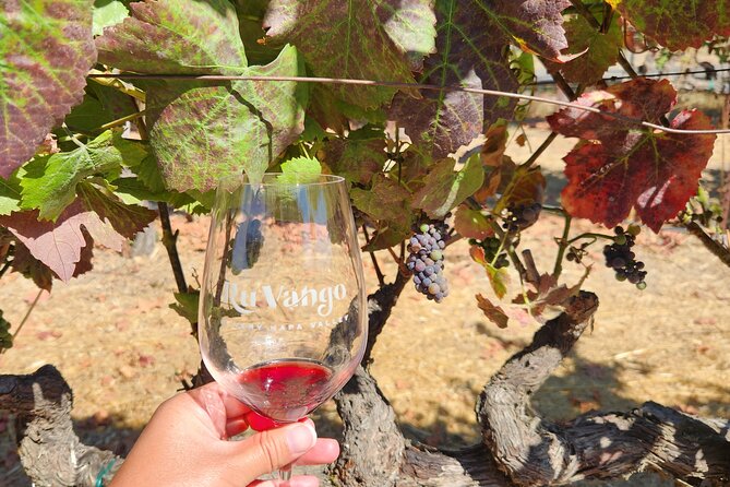 Napa and Sonoma Valley Tasting Experience to Three Wineries - Winery Locations