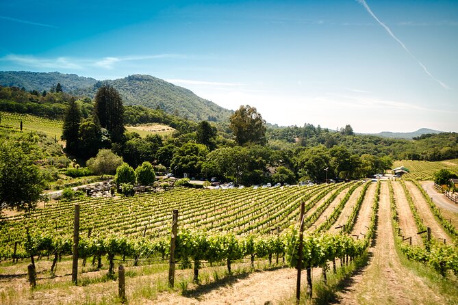 Napa and Sonoma Wine and Food Experience (Napa Pickup) - Accessibility and Recommendations