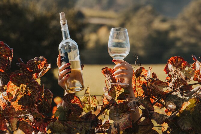 Napa and Sonoma Wine and Food Experience (Napa Pickup) - Reviews and Feedback