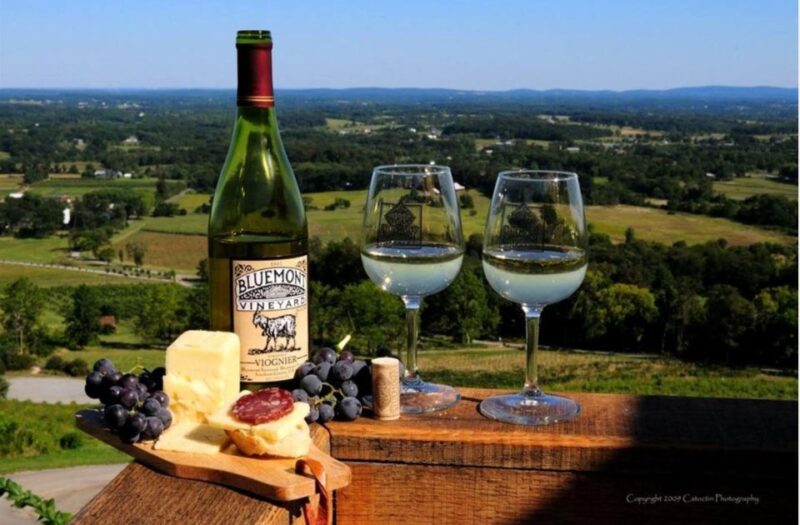 Napa: Customized Half-Day Wine Tour - Pickup and Locations