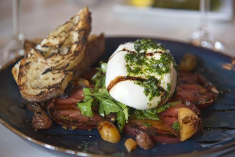 Napa: Gourmet Food and Wine Tour - Experience Highlights