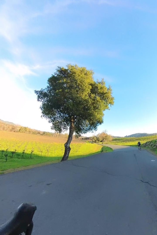 Napa/Sonoma: Guided Tour for Cycling Enthusiasts - Experience and Highlights