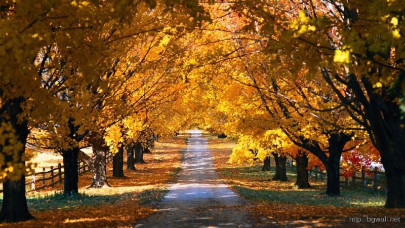 Napa & Sonoma Valley : Custom Wine Tour - Booking Information