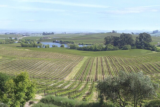 Napa & Sonoma Wine Tasting Tours - Exploring Napa and Sonoma
