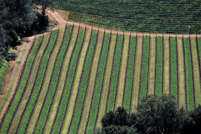 Napa Valley: Airplane Napa Valley Tour - Highlights of the Experience