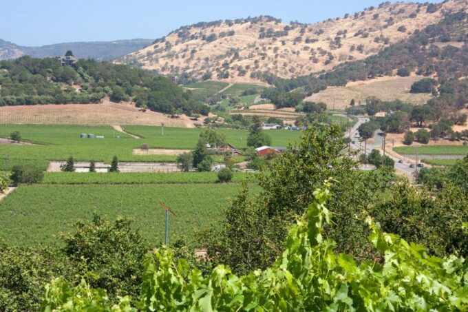 Napa Valley: Driver Service in North California Wine-Country - Safety and Insurance Considerations