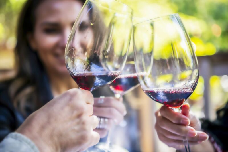 Napa Valley: Guided Wine Tour With Picnic Lunch - Experience Highlights