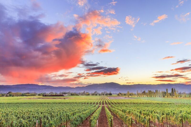 Napa Valley: Guided Wine Tour With Picnic Lunch - Pickup and Drop-off