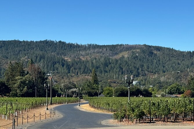 Napa Valley Luxury Wine Tours & Car Services - Luxury Transportation and Amenities