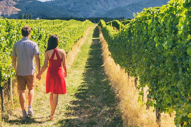 Napa Valley Private Wine Transportation (Up to 6 Passengers) - Service Overview