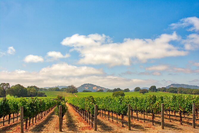 Napa Valley Private Wine Transportation (Up to 6 Passengers) - About the Provider