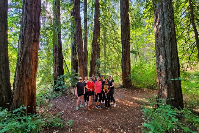 Napa Valley Redwood Hike - Preparing for the Hike