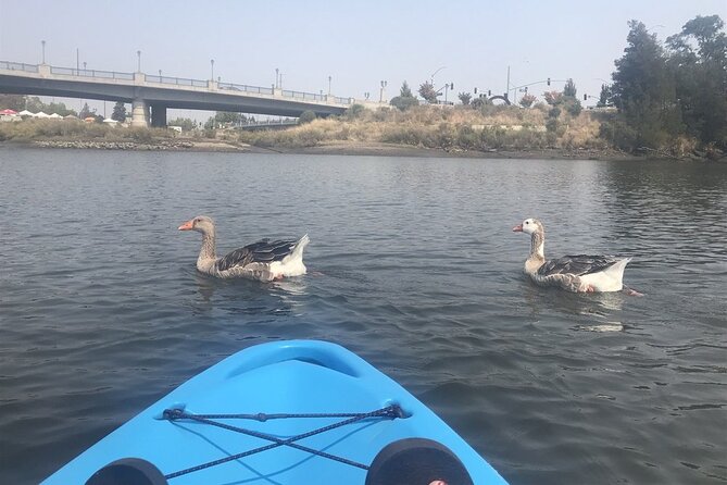 Napa Valley River History Kayak Tour: 2 Person Tandem - Reviews and Feedback