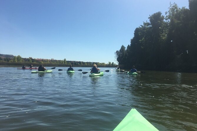 Napa Valley River History Kayak Tour: Single Kayaks - Wildlife Identification and Observation