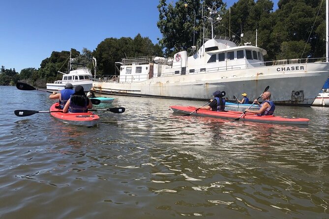 Napa Valley River History Kayak Tour: Single Kayaks - Kayak Equipment and Accessibility