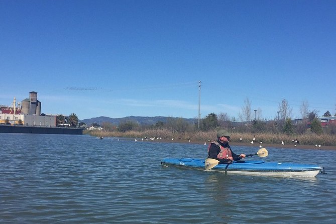 Napa Valley River History Kayak Tour: Single Kayaks - Waivers and Age Restrictions