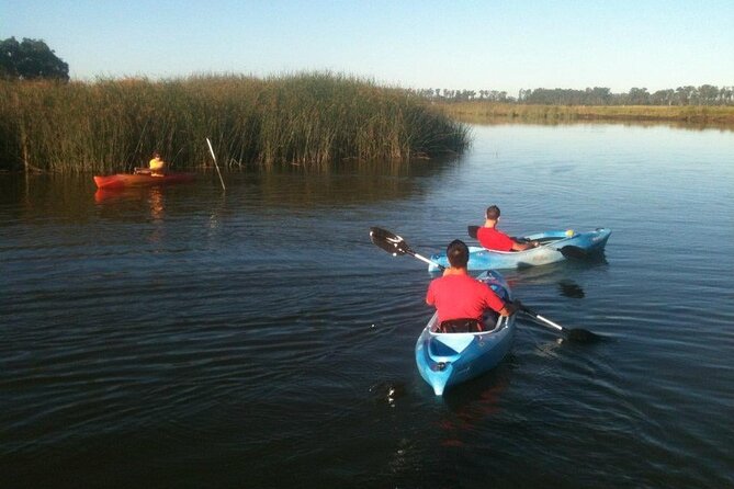 Napa Valley Single Kayak Rental - Activity and Confirmation