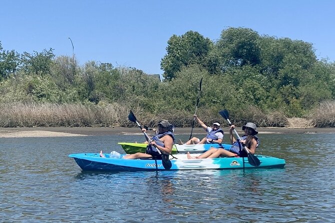 Napa Valley Single Kayak Rental - Recap
