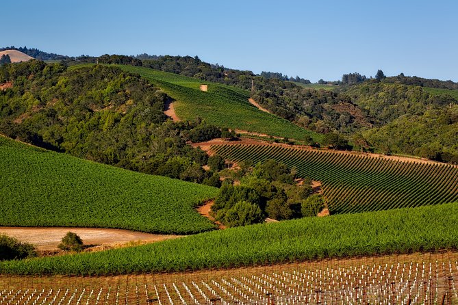 Napa Valley Wine Tasting Tour 6 to 8 Hours Max 14 Passenger - Key Points