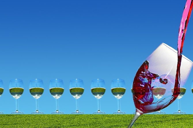 Napa Valley Wine Tasting Tour 6 to 8 Hours Max 14 Passenger - Included and Excluded